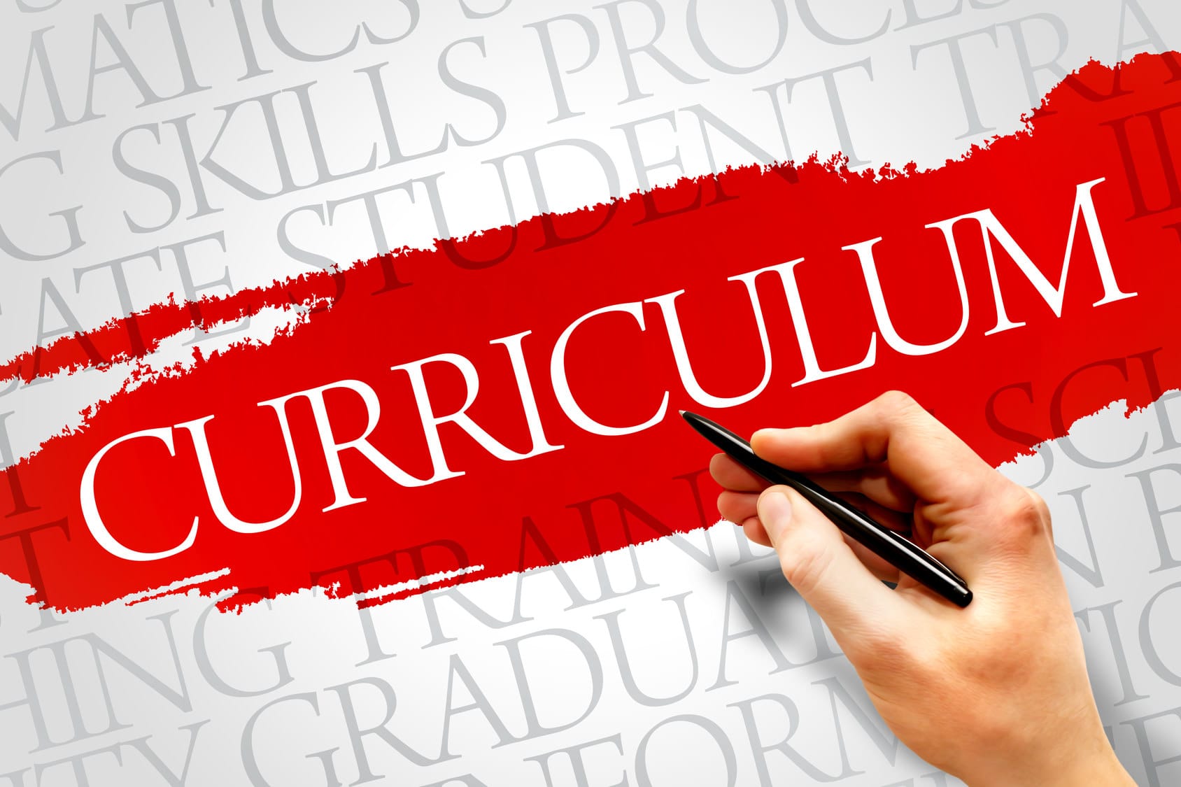 Curriculum