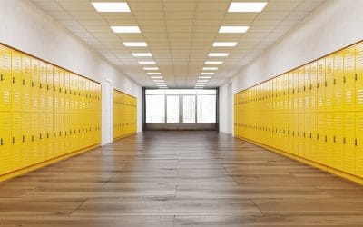 Changes in Law 2024 – School Safety